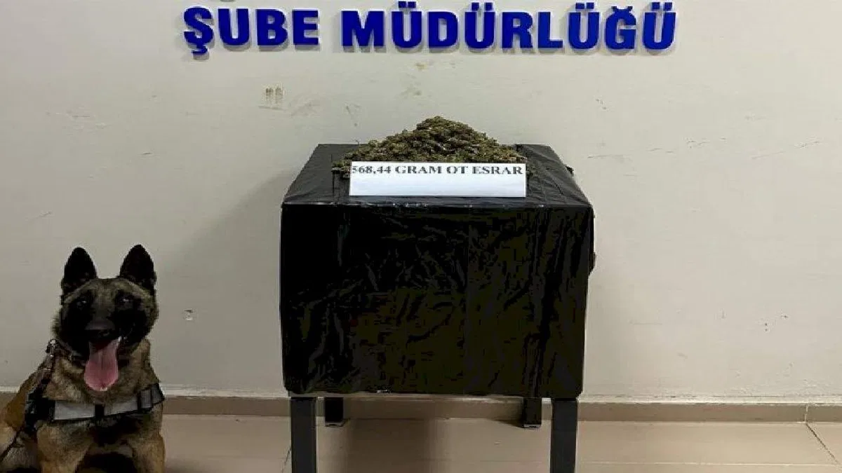 Bingöl’de uyuşturucu madde ticaretine 1 tutuklama