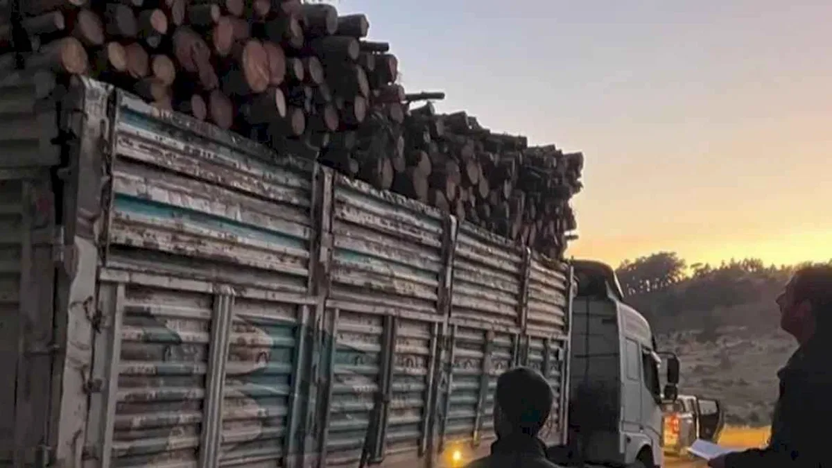Bursa'da orman ürünleri taşıyan araçlara sıkı denetim!