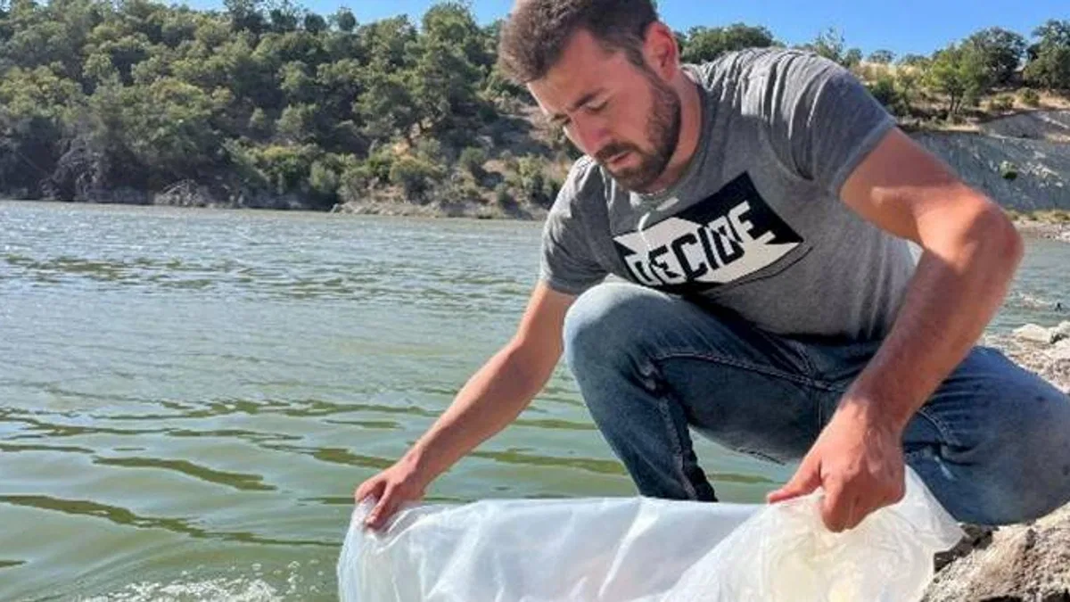 30 bin yavru sazan göletlere salındı