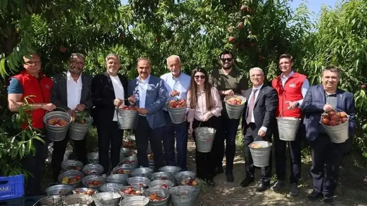 Şeftali ve nektarinde 250 milyon dolar ihracat hedefi