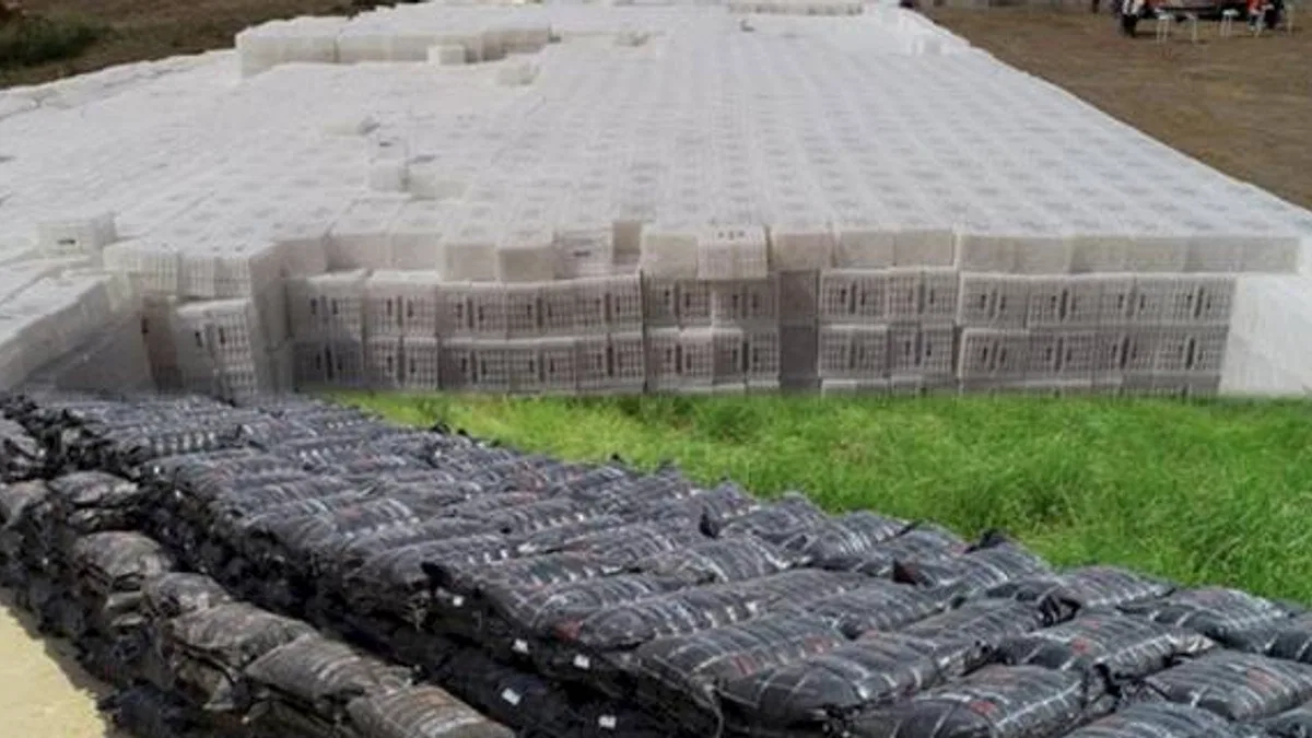 Zeytin ve incir üreticilerine büyük destek