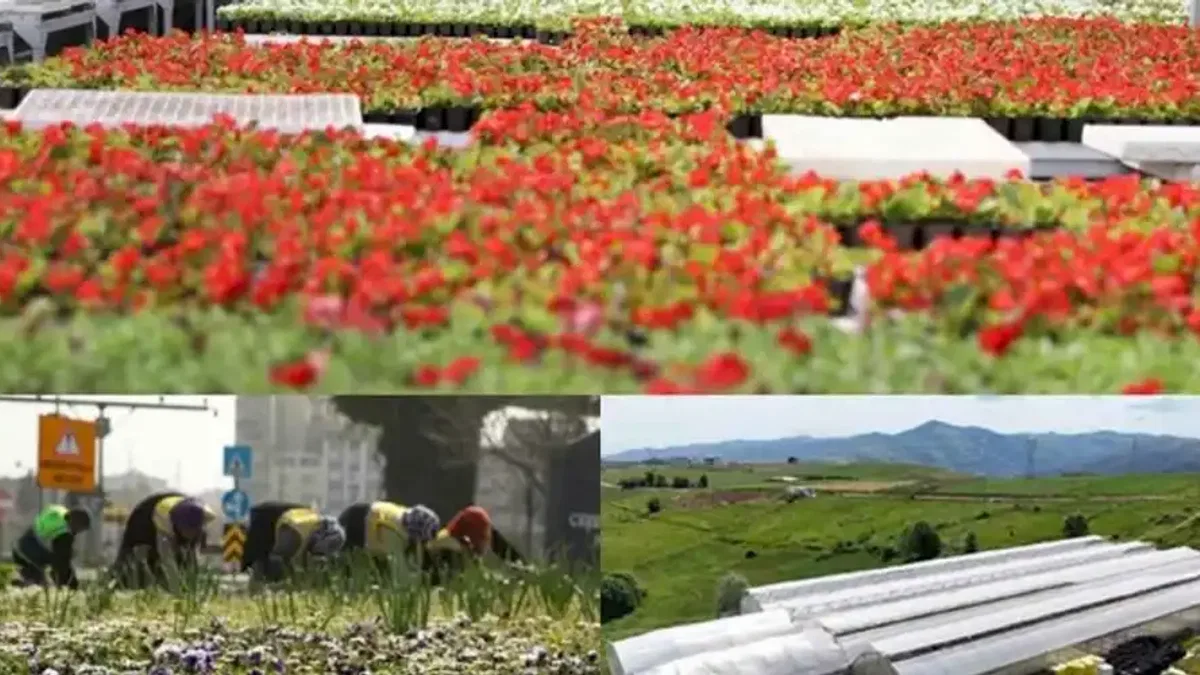 Çöpler çiçek oldu, şehri renklendirdi