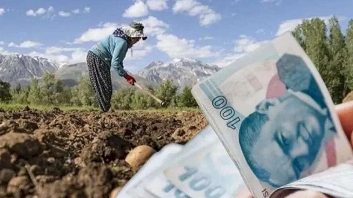 Kooperatiflere 4,5 milyar TL'lik kredi desteği