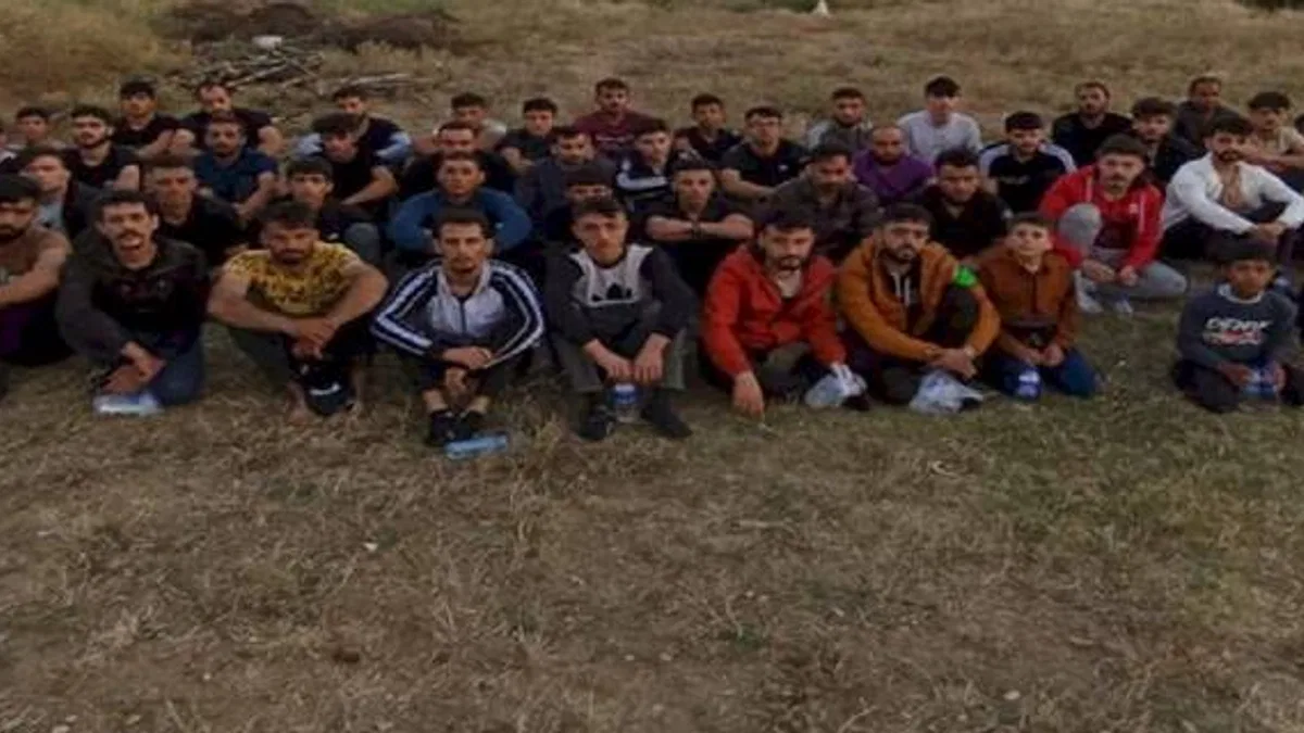 Edirne'de 64 kaçak göçmen yakalandı