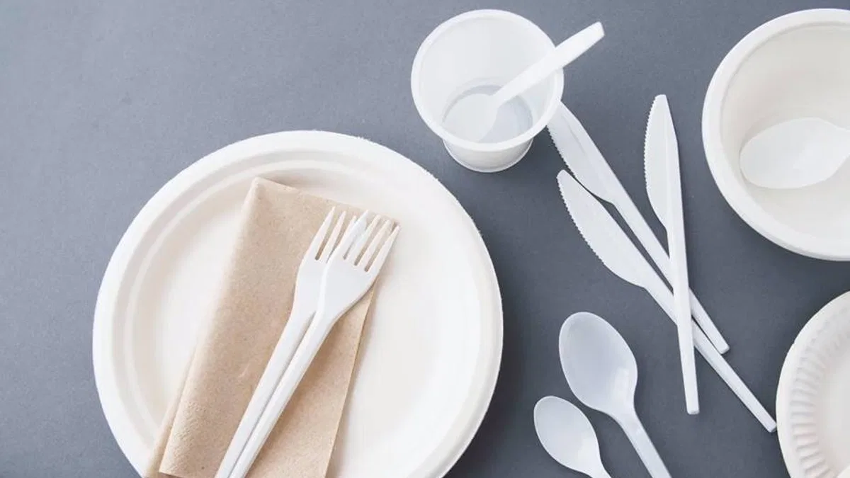 Yeni tek kullanımlık plastik düzenlemesi sanayide dönüşümü başlatıyor
