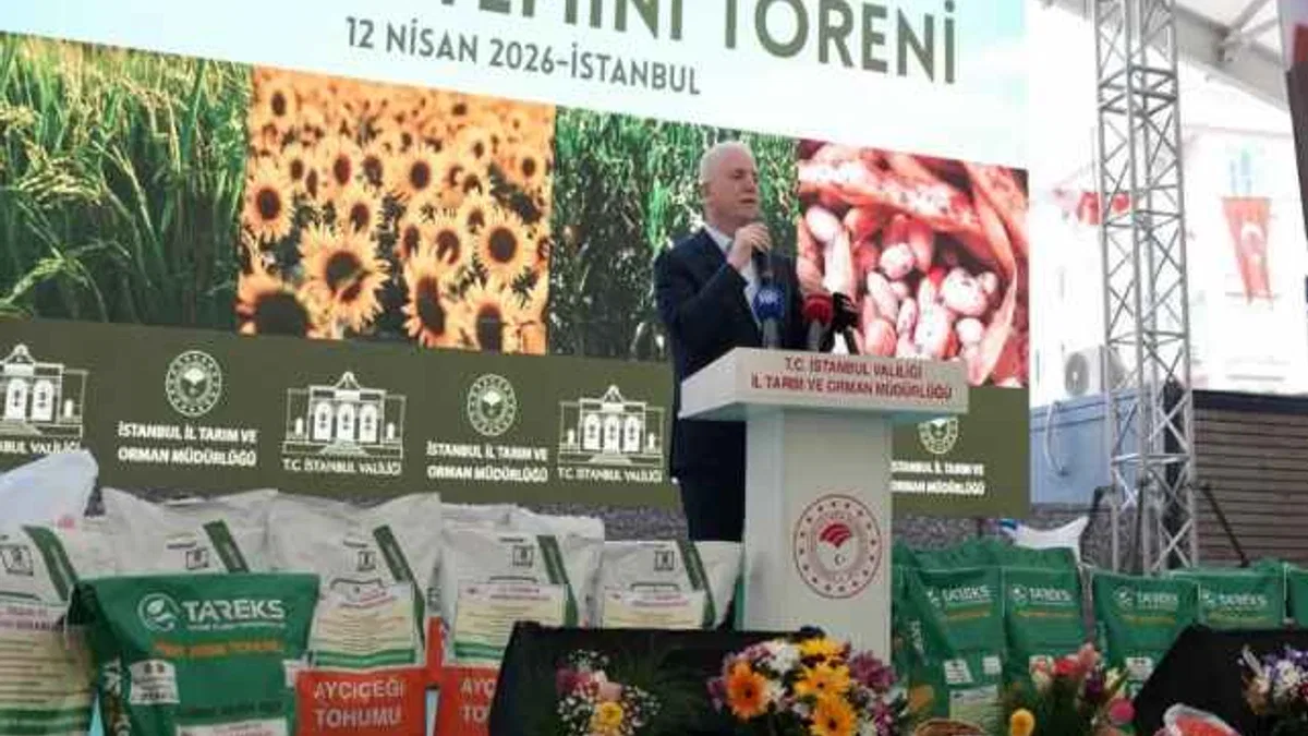 İstanbul’da çiftçiye dev destek... 84 ton tohum dağıtılacak
