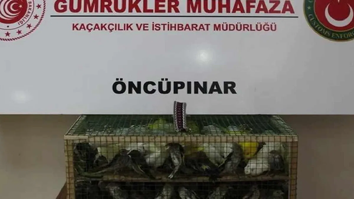 Gümrük Muhafaza'dan kaçakçılığa darbe!