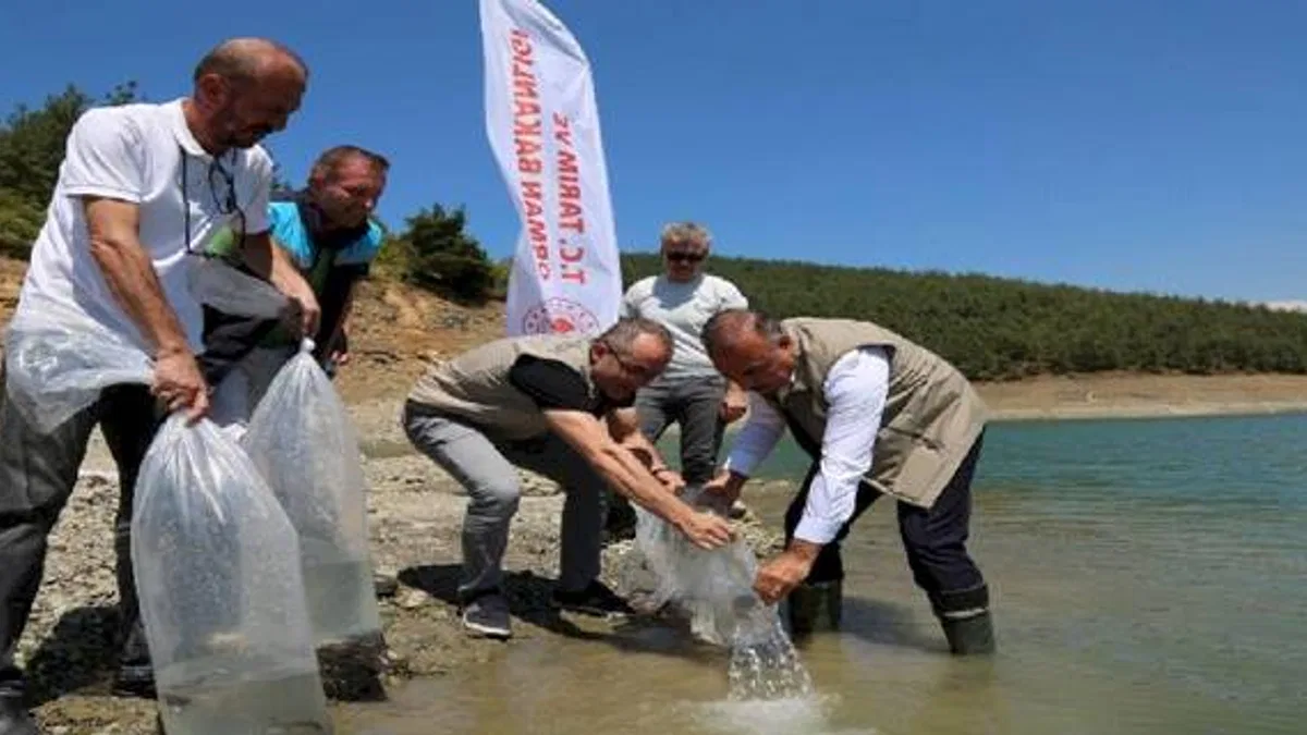 Bursa'da 5 bin yayın balığı Demirtaş'a bırakıldı