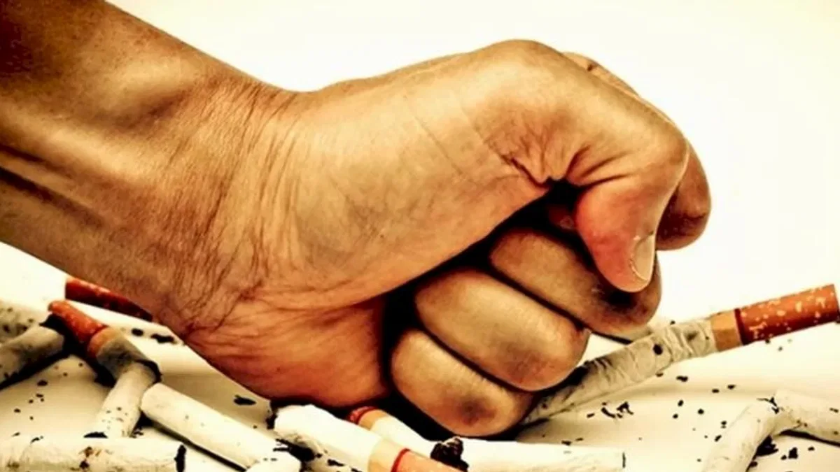 Sigarada OECD ortalamasını ikiye katladık