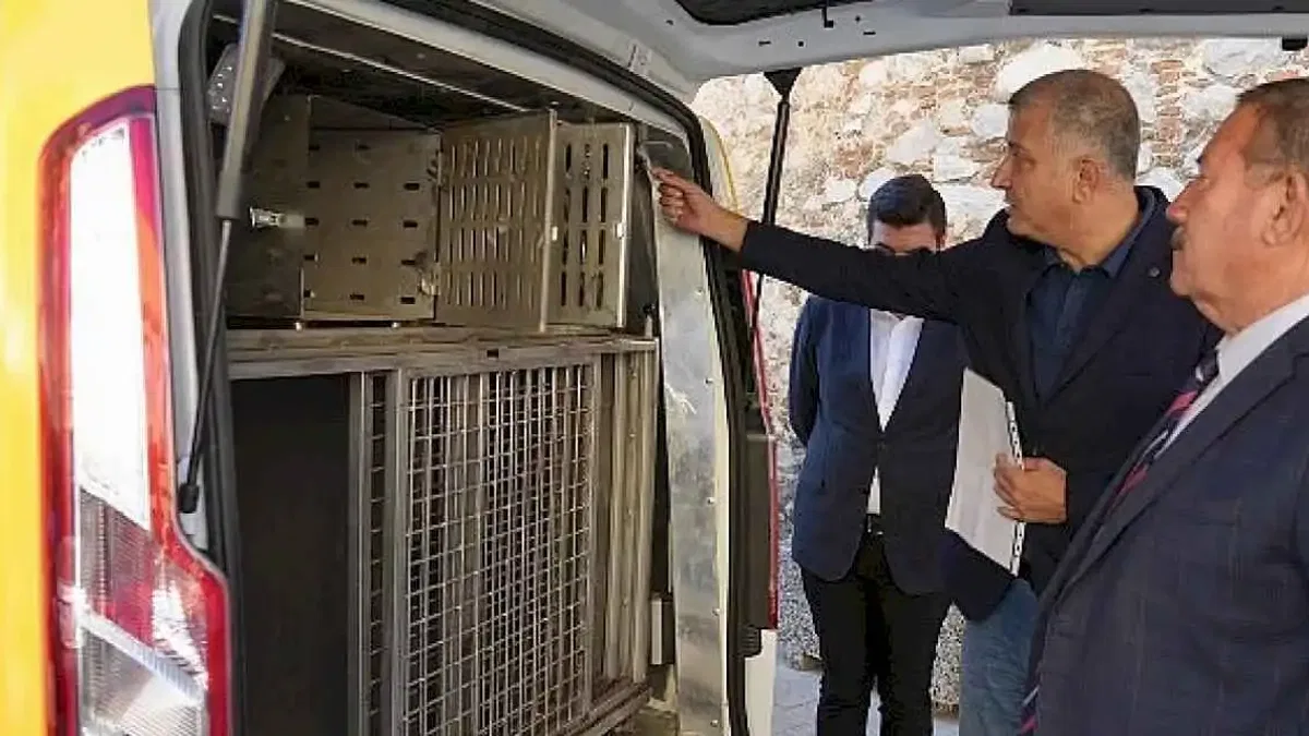 Milas Belediyesi Can Dostlarımızın Yardımına Koşuyor