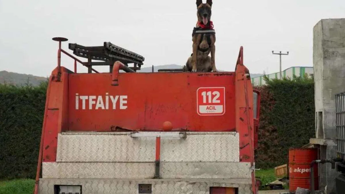 Balıkesir İtfaiyesi’nin yeni kahramanı: K9 köpeği İda