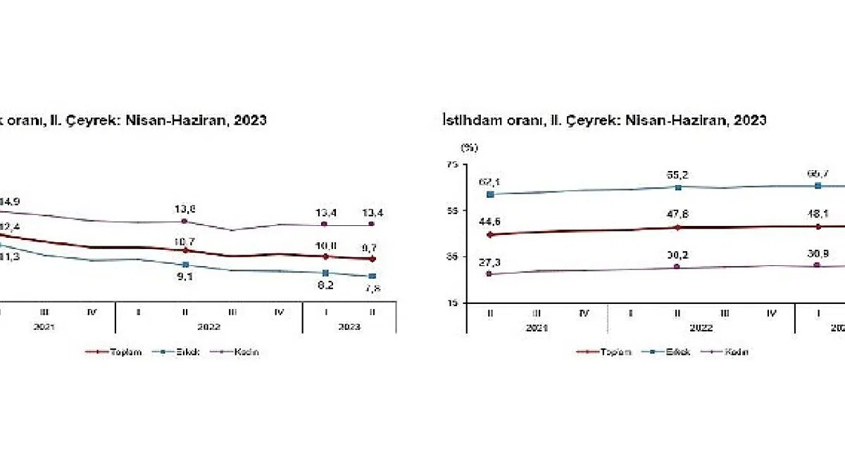 TÜİK: İşgücü İstatistikleri, II. Çeyrek: Nisan - Haziran, 2023