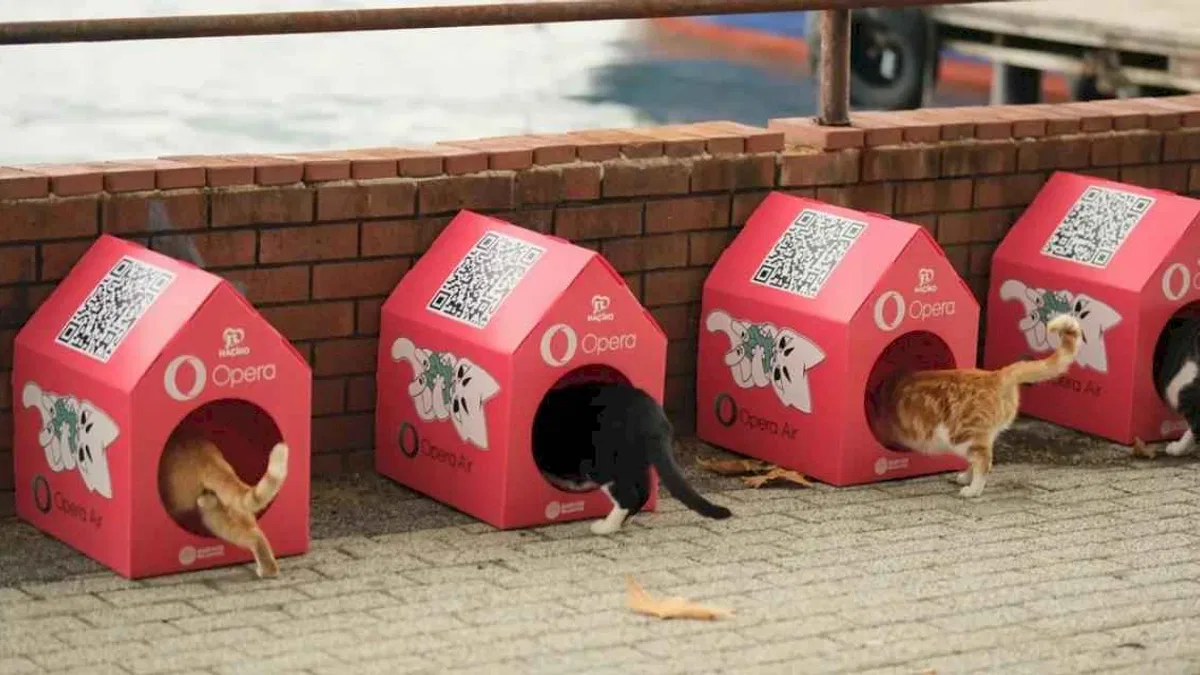 Opera 'Kedi Mahallesi' Oluşturmak için HAÇİKO ile Güçlerini Birleştirdi
