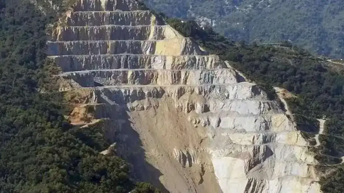 İMİB'den 'Orman Kanunu Yönetmeliği'ne iptal davası