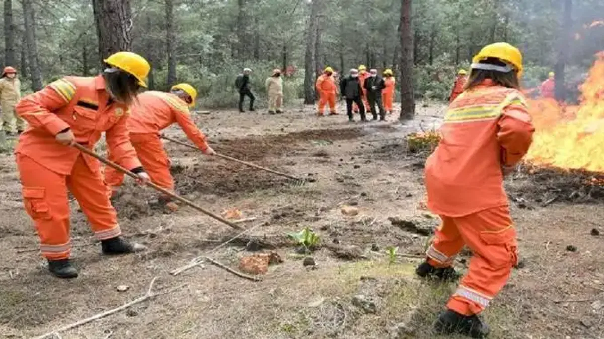 Orman yangınları yüzde 90 insan kaynaklı!