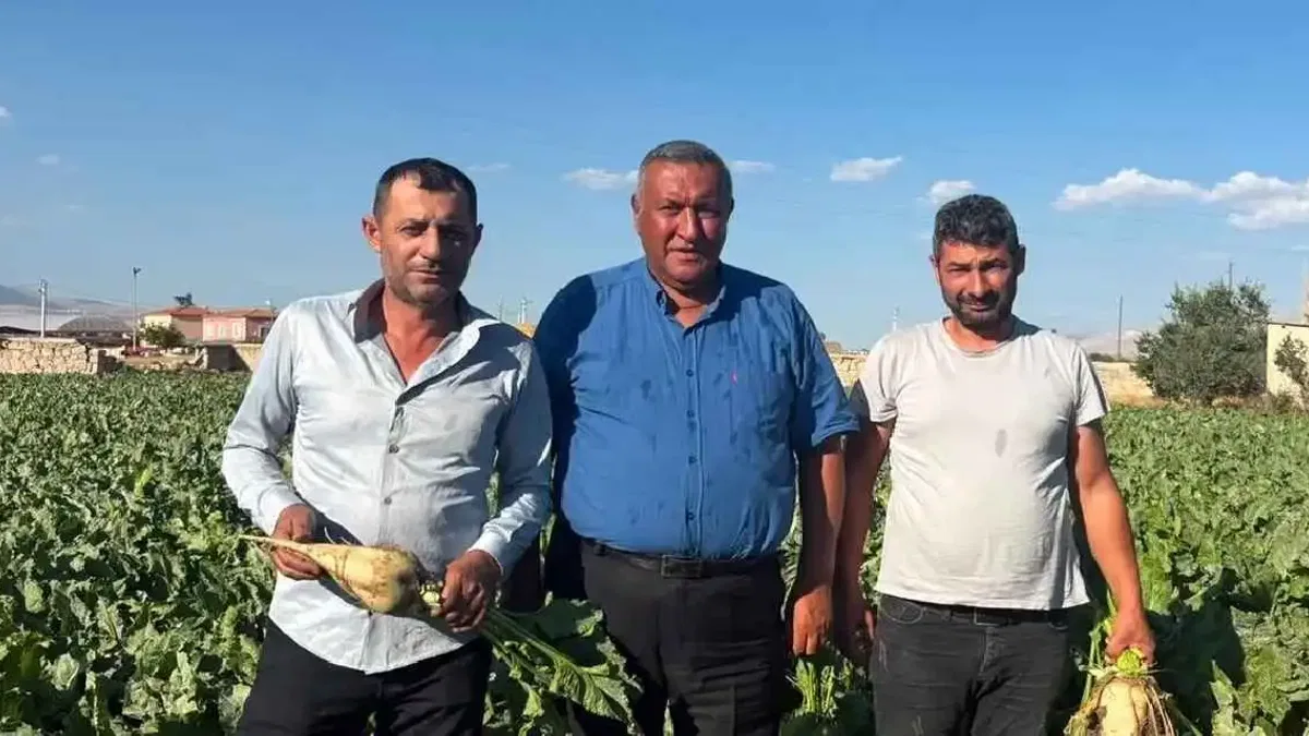 Ömer Fethi Gürer pancar üreticilerinden beklentilerini dinledi