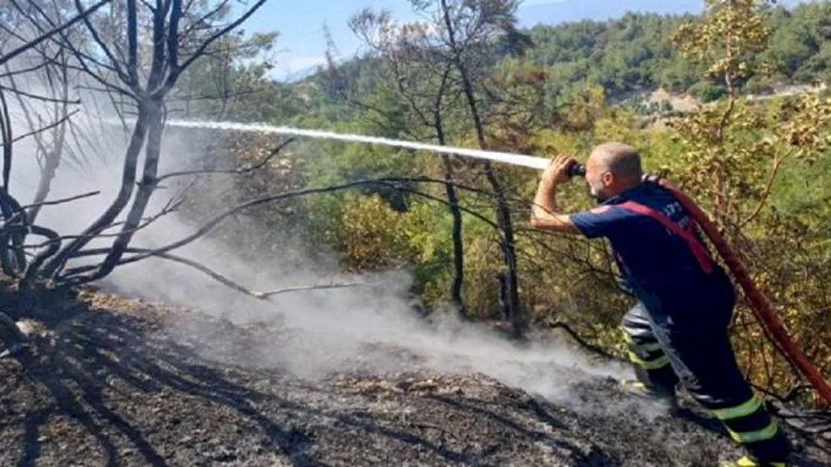 Hatay Antakya'daki orman yangınları söndürüldü