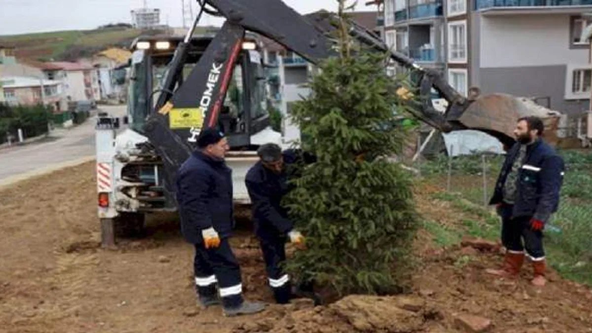 Kocaeli İzmit'te ağaçlandırma çalışması