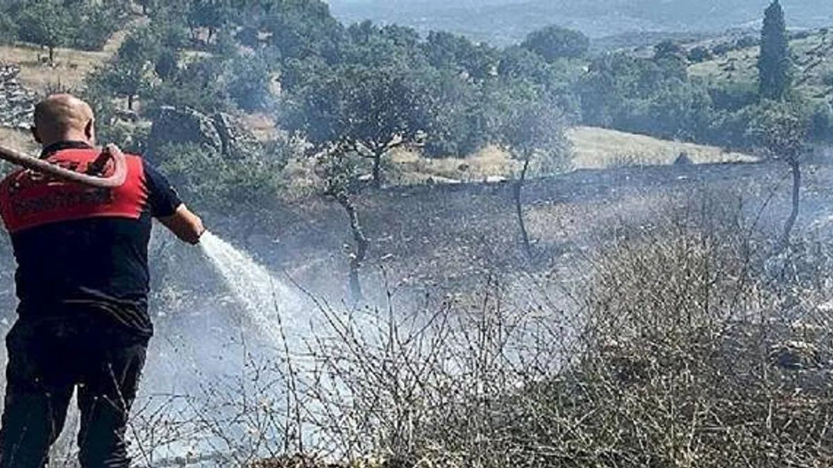 Koçarlı'daki yangın kontrol altına alındı