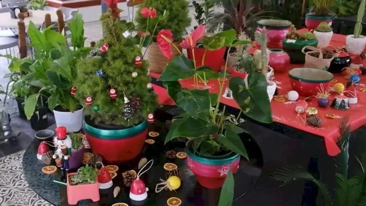 ANFA Bitki Evleri’nde yeni yılın çiçekleri sunuldu