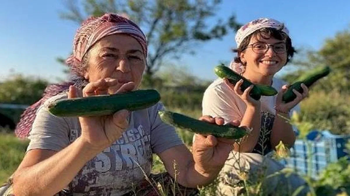 Buğday Derneği; Soframıza gelen zehirlerden 6'sı daha yasaklandı