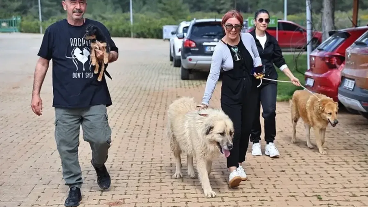 Antalya Büyükşehir Bakımevi’nde can dostlar sıcak yuvalarına kavuşuyor