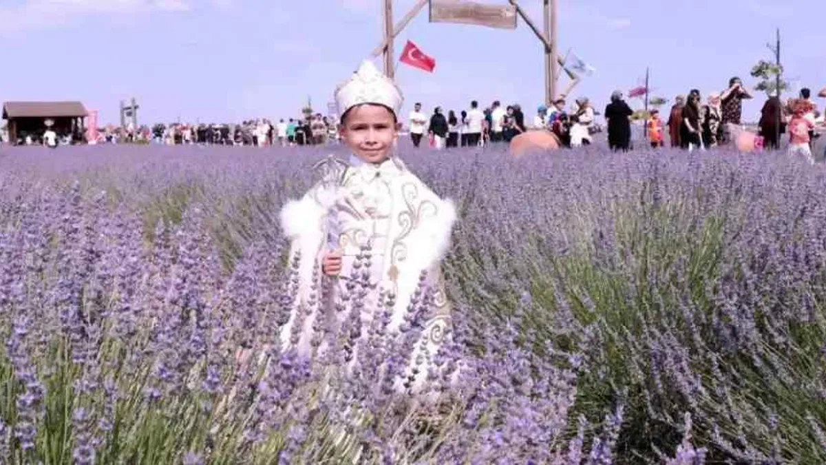 Konya Karatay'da Lavanta Bahçesi'nde festival hazırlığı
