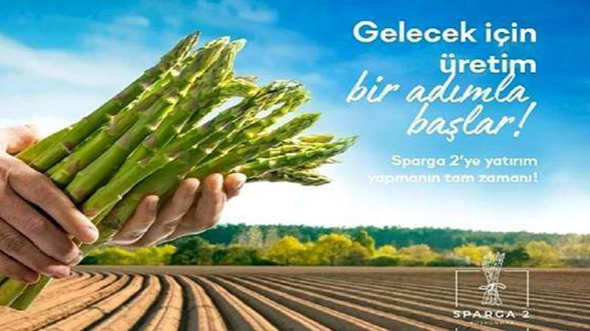 Kuşkonmaz üretim projesi Sparga2 Tarım 41 milyon 604 bin 785 TL fon topladı