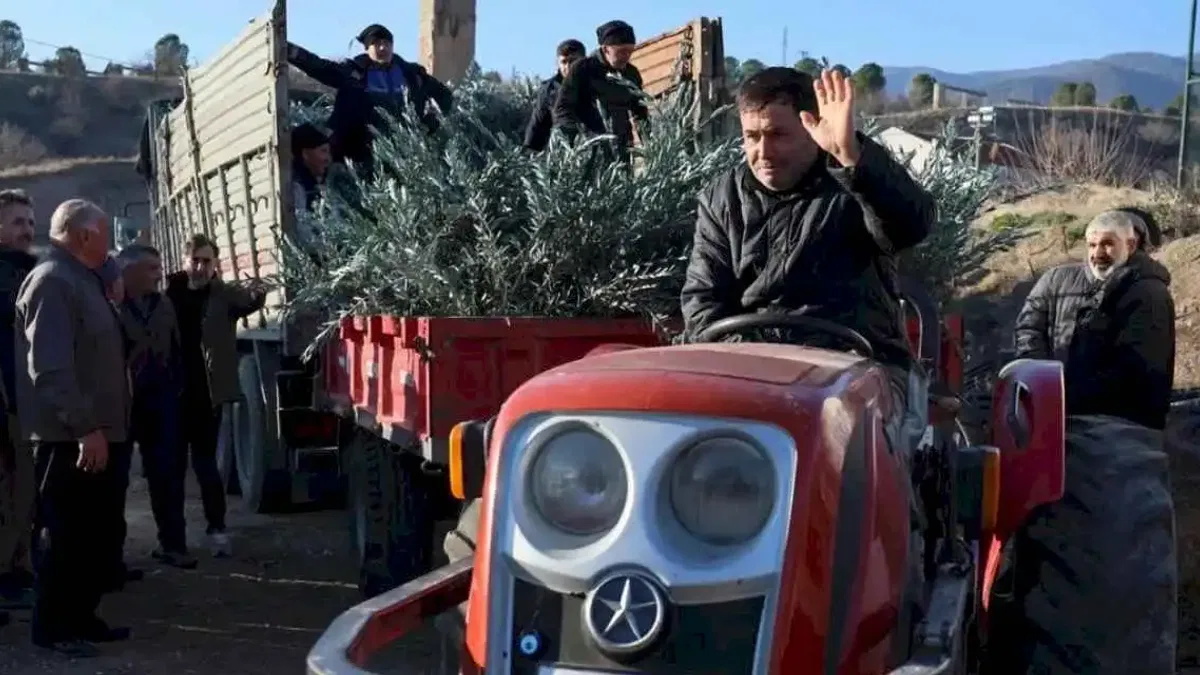 Eskişehir'de zeytincilik yaygınlaştırılacak... 17 bin Gemlik zeytin fidanı dağıtıldı