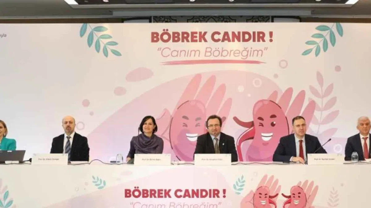 Türkiye'de 68 binin üzerinde hasta diyaliz tedavisinde
