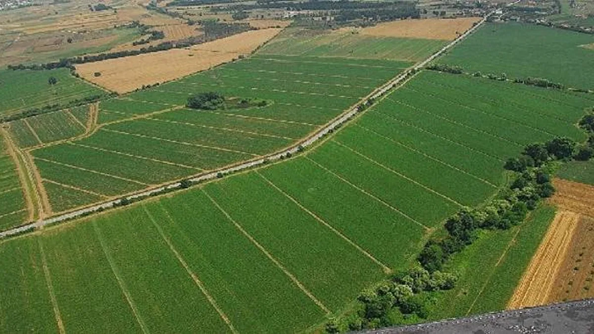Kocaeli Büyükşehir'den çiftçilere tohum desteği
