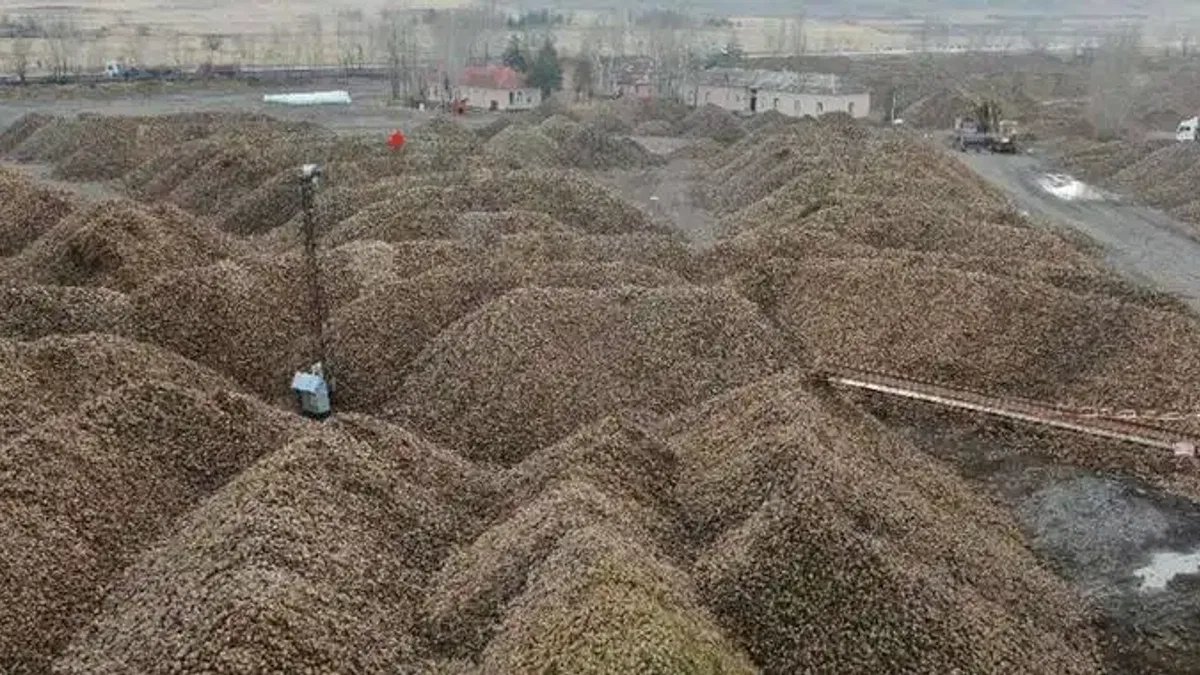 Sukkar Şeker 2025’te Üretim Hacmini Güçlendirdi