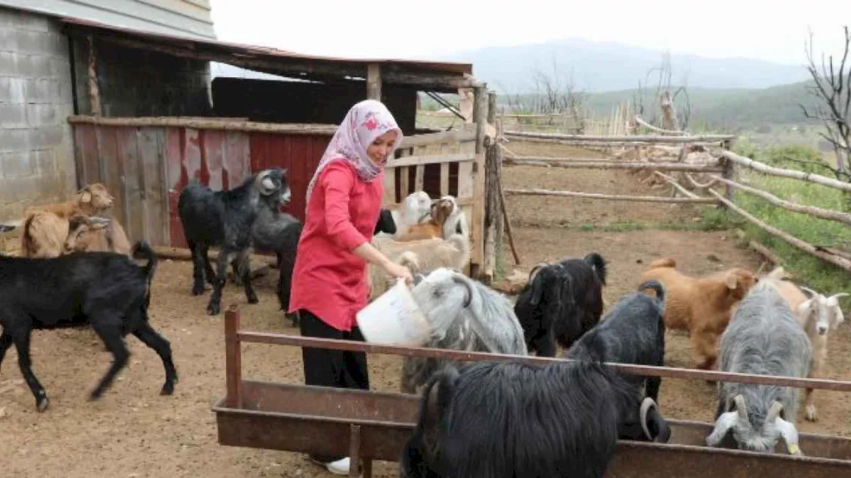 Muğlalı kadın üreticiler kazanıyor