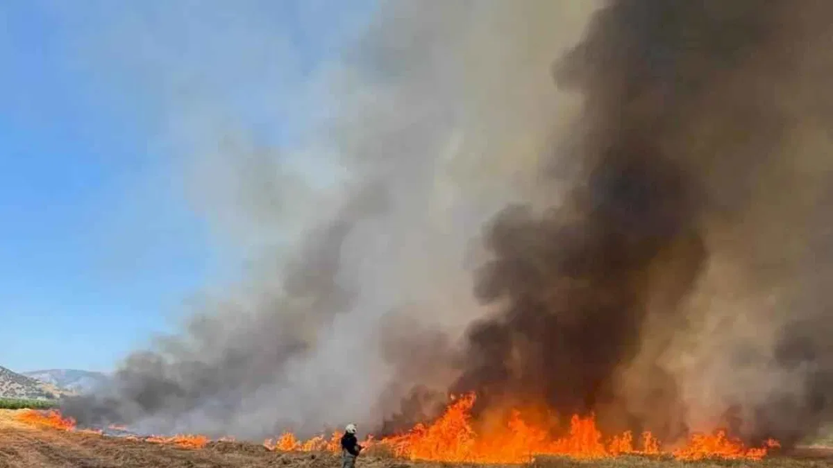 İzmir İtfaiyesi 48 saatte 220 yangına müdahale etti