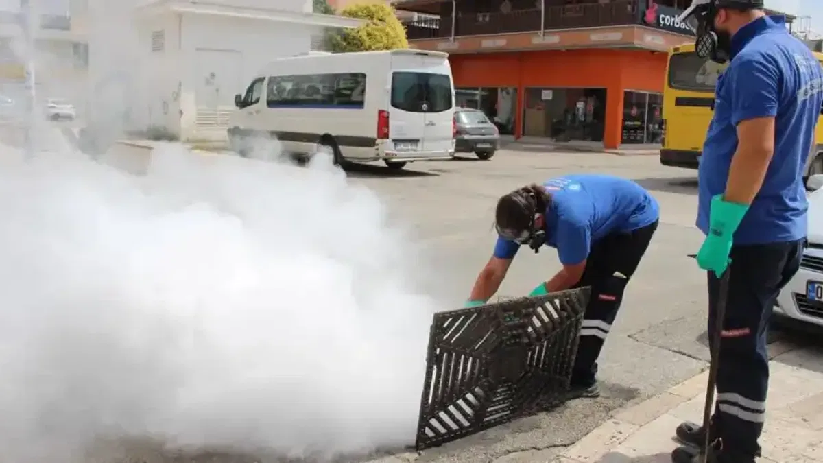 Antalya'da 19 ilçede yoğun vektörle mücadele