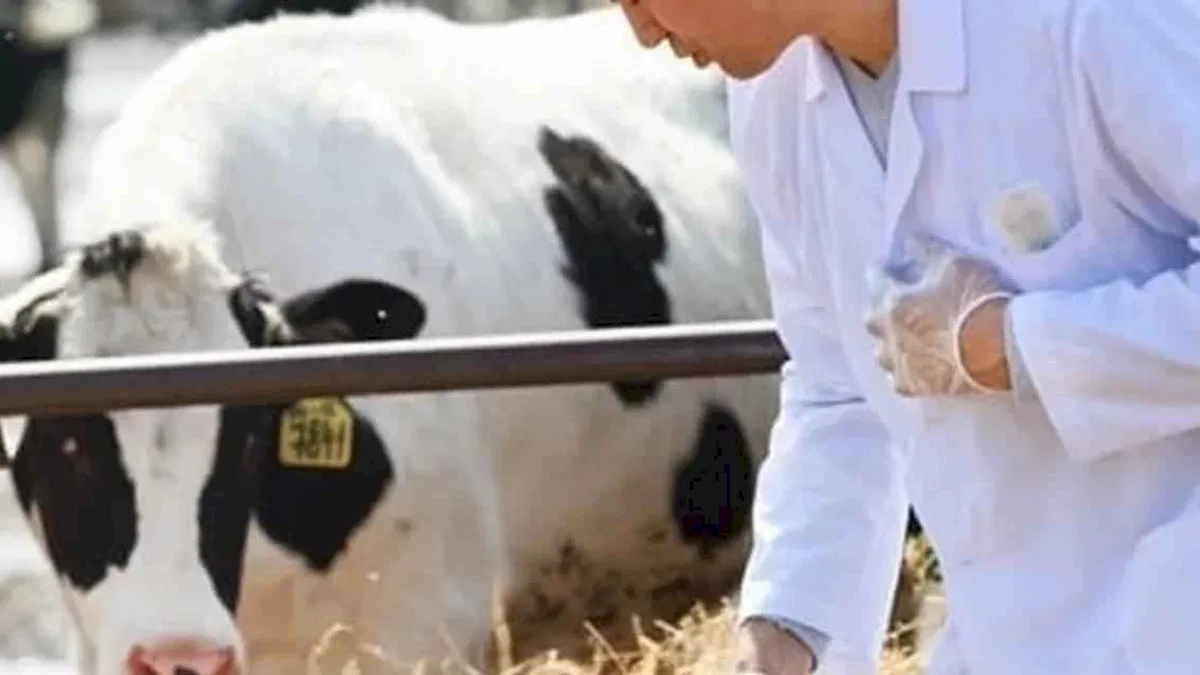 Tarımsal girdi Mart'ta yükseldi... Veteriner harcamaları revaçta
