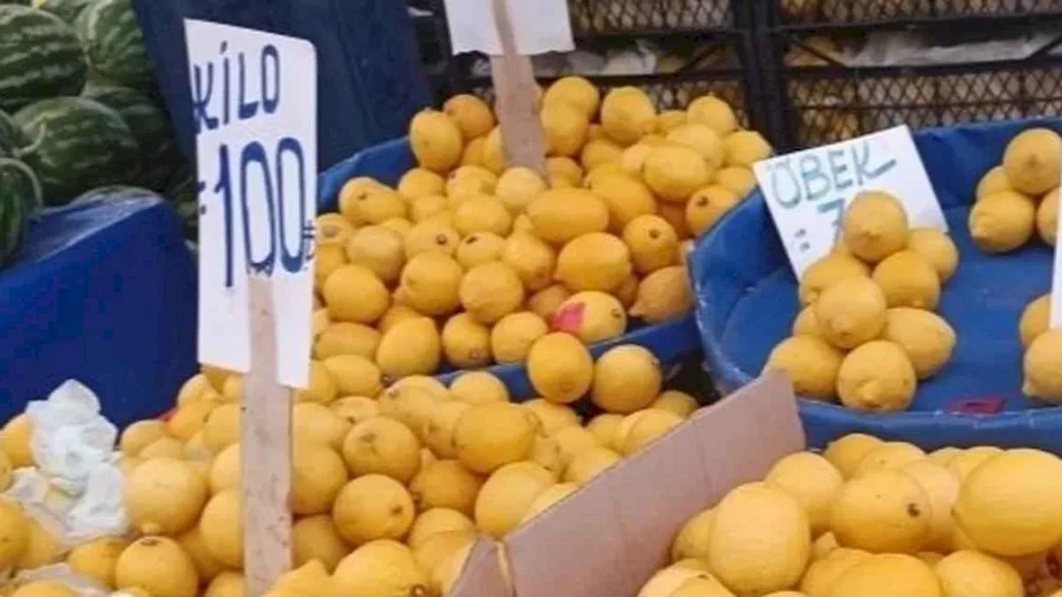 Limon üreticisinin sesine duyarsızlık fahiş fiyatlara neden oldu