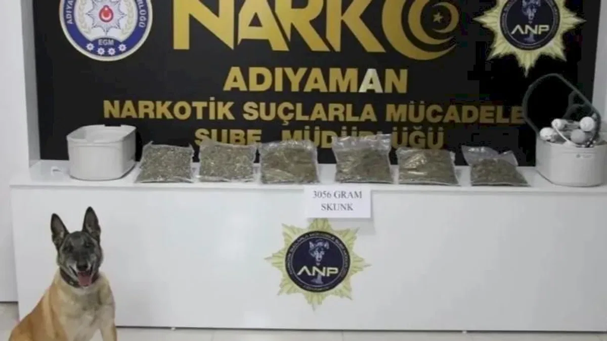 Adıyaman'da suç ve uyuşturucuya 28 tutuklama