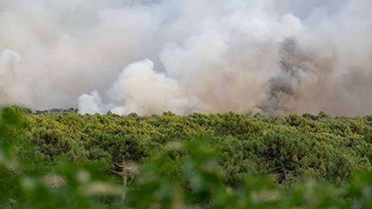 Fransa'da bu yılki yangınlarda 47 bin hektardan fazla yeşil alan zarar gördü