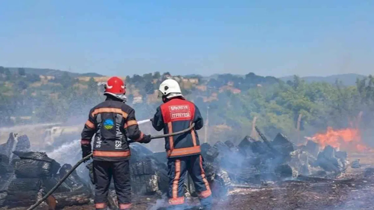 Sakarya Söğütlü’deki orman yangını kontrol altına alındı