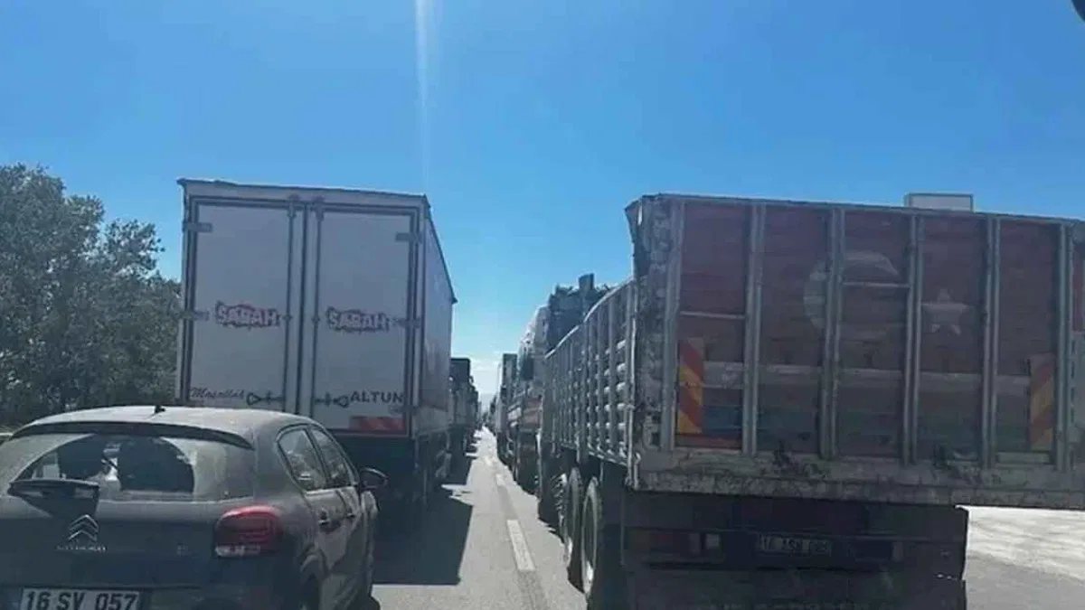 Bursalı çiftçilerden büyük eylem