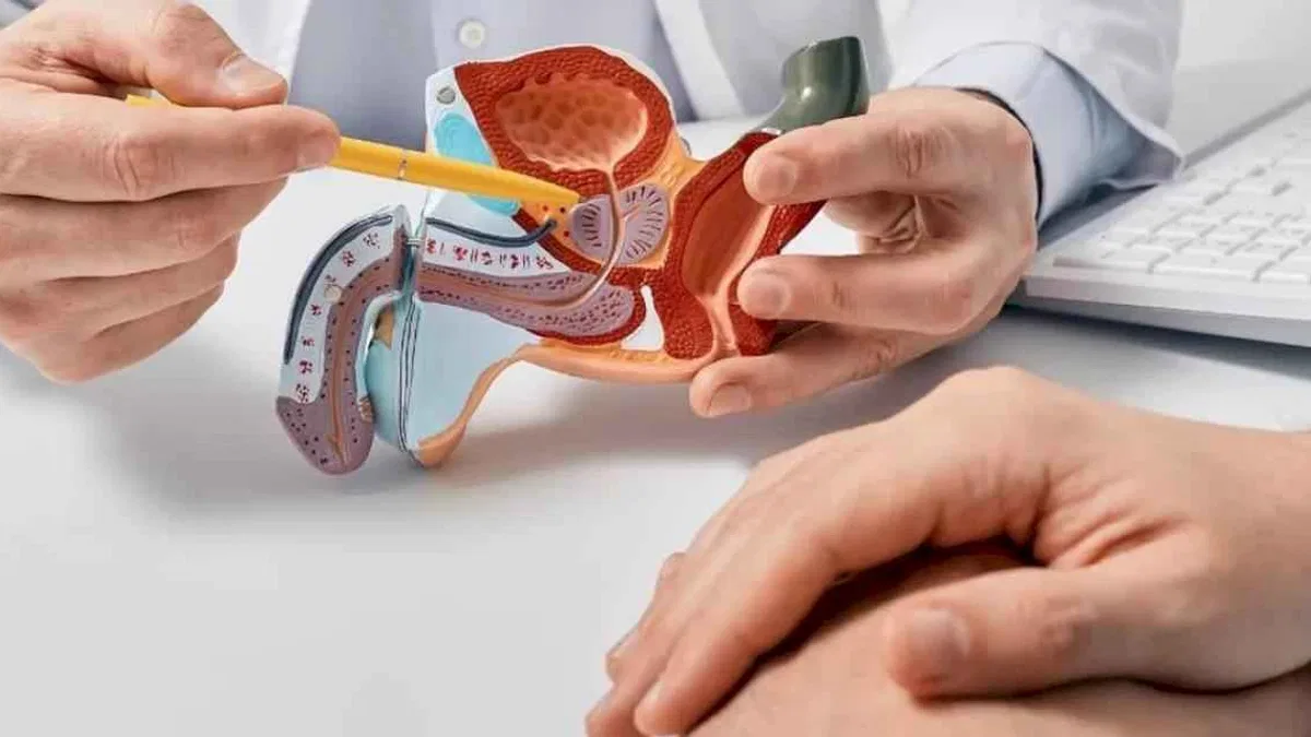Prostat büyümesi erken önlemle kontrol altına alınabiliyor