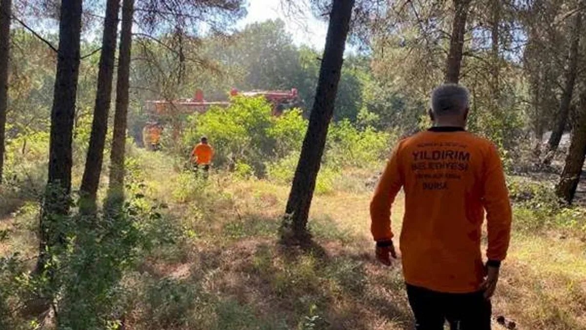 Yıldırım'dan söndürme çalışmalarına destek