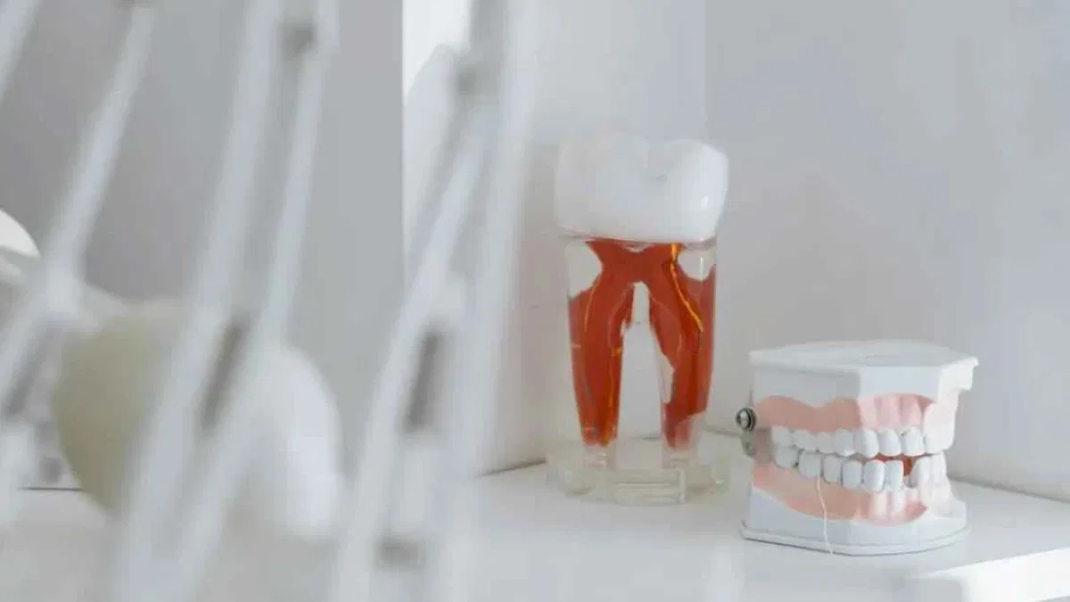 Diş hekimleri de 14 Şubat'ta iş bırakıyor! Mesleklerine olan sevgilerini eylemle gösterecekler!
