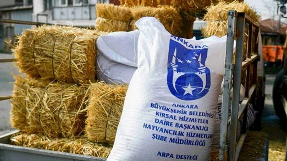 Ankara'da mandacılara yüzde yüz hibeli yem desteği