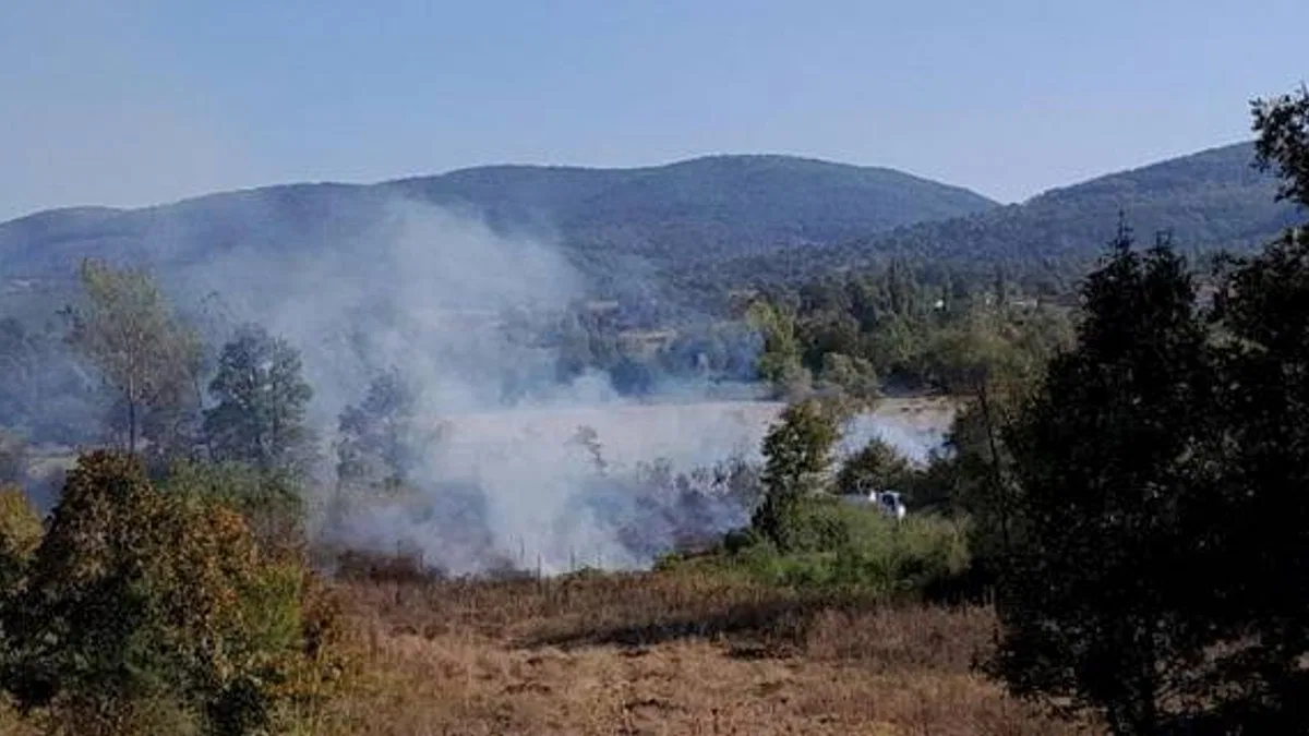 Alevler tabiat parkına ulaşmadan söndürüldü