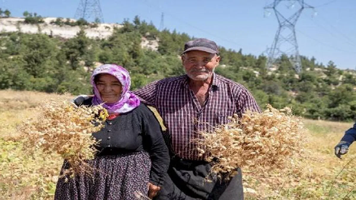 Büyükşehir'den toprağa bereket desteği
