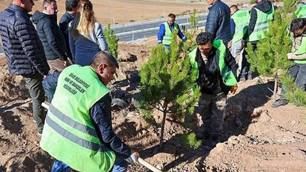 Sivas Belediyesi anlamlı bir çalışmaya imza atarak mevsimlik işçiler adına hatıra ormanı oluşturdu.