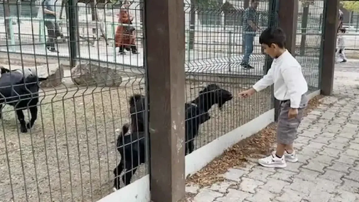 Kayseri Hayvanat Bahçesi'nde 30 Ağustos bereketi