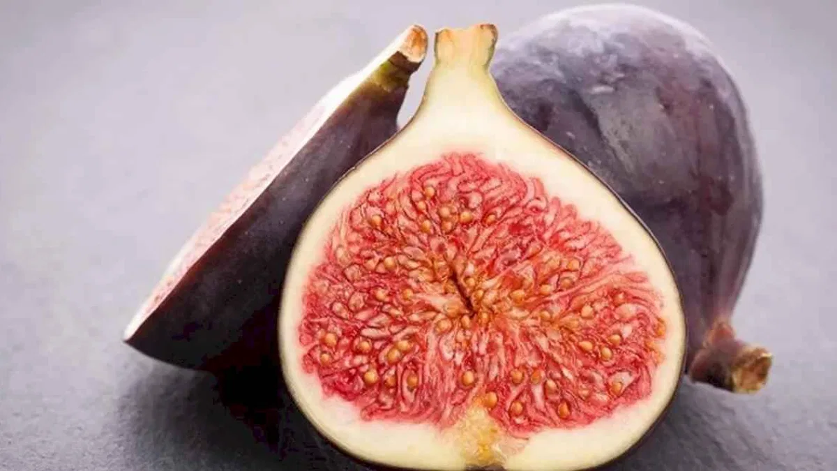Cennet meyvesi incirlerin ihracat yolculuğu başladı